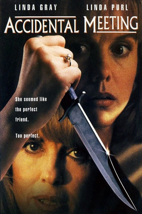 Accidental Meeting photo