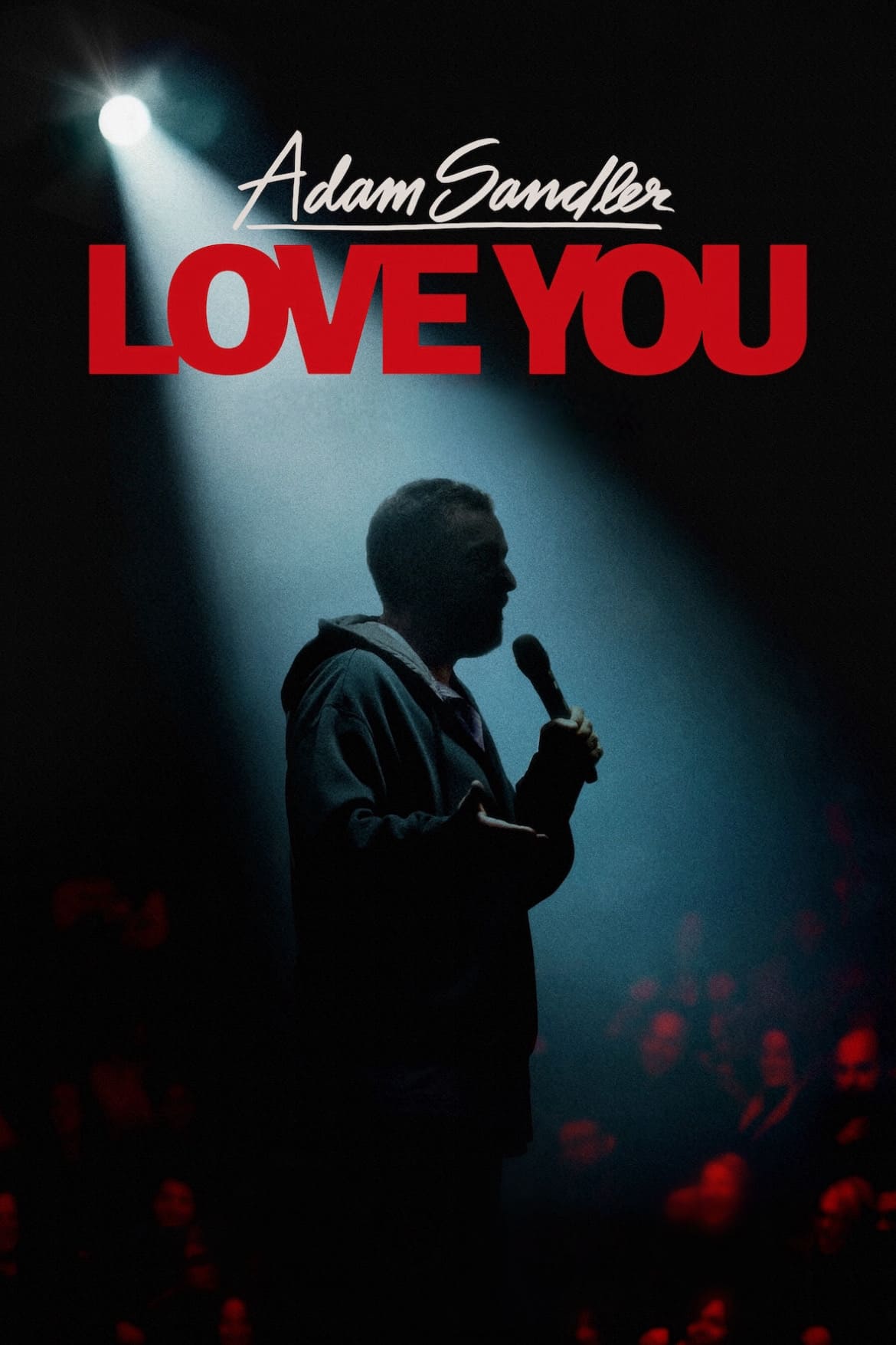 Adam Sandler: Love You photo