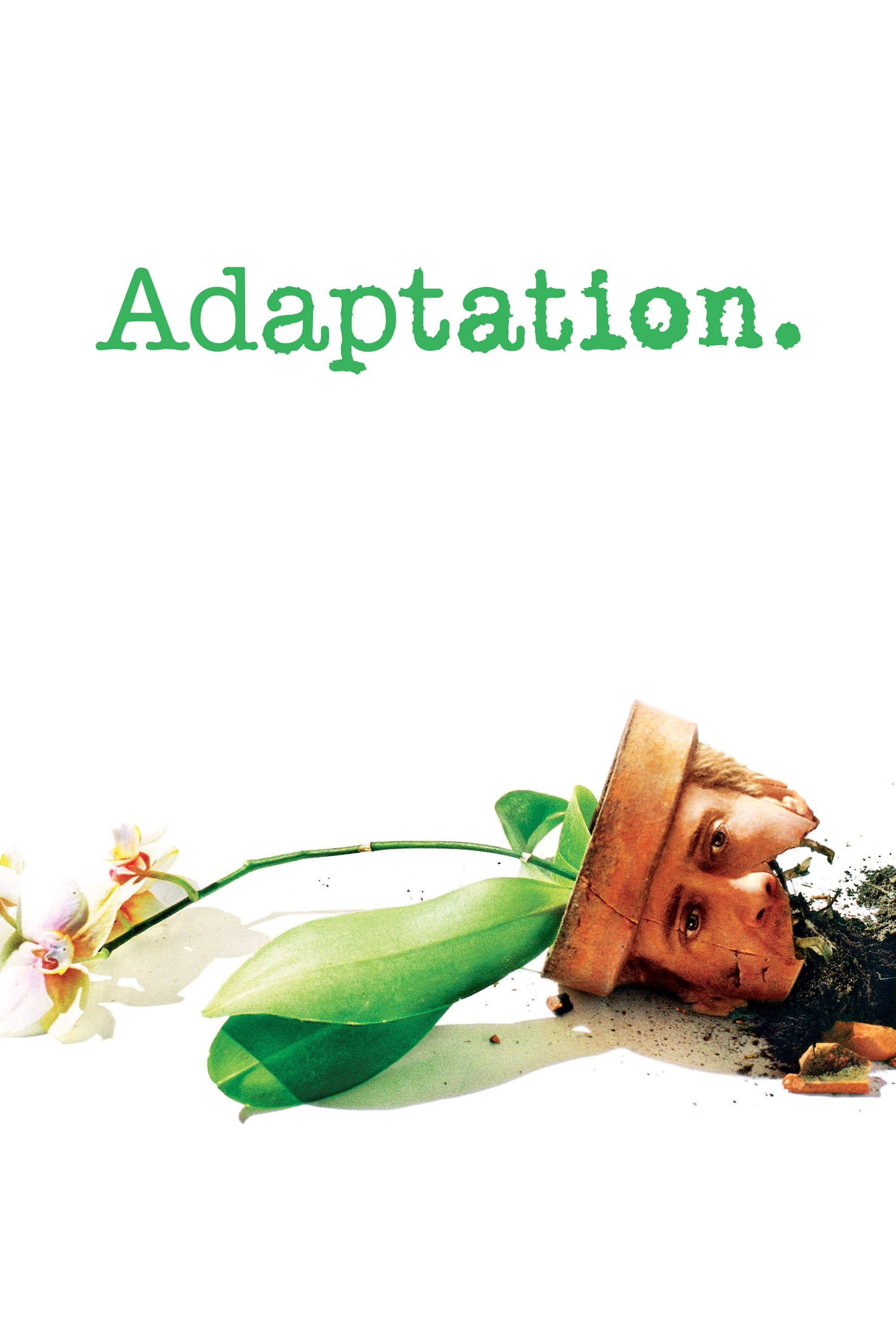 Adaptation. photo