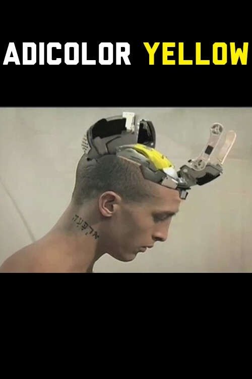 Adicolor Yellow photo