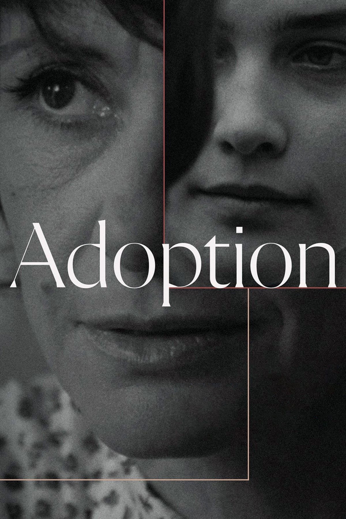 Adoption photo