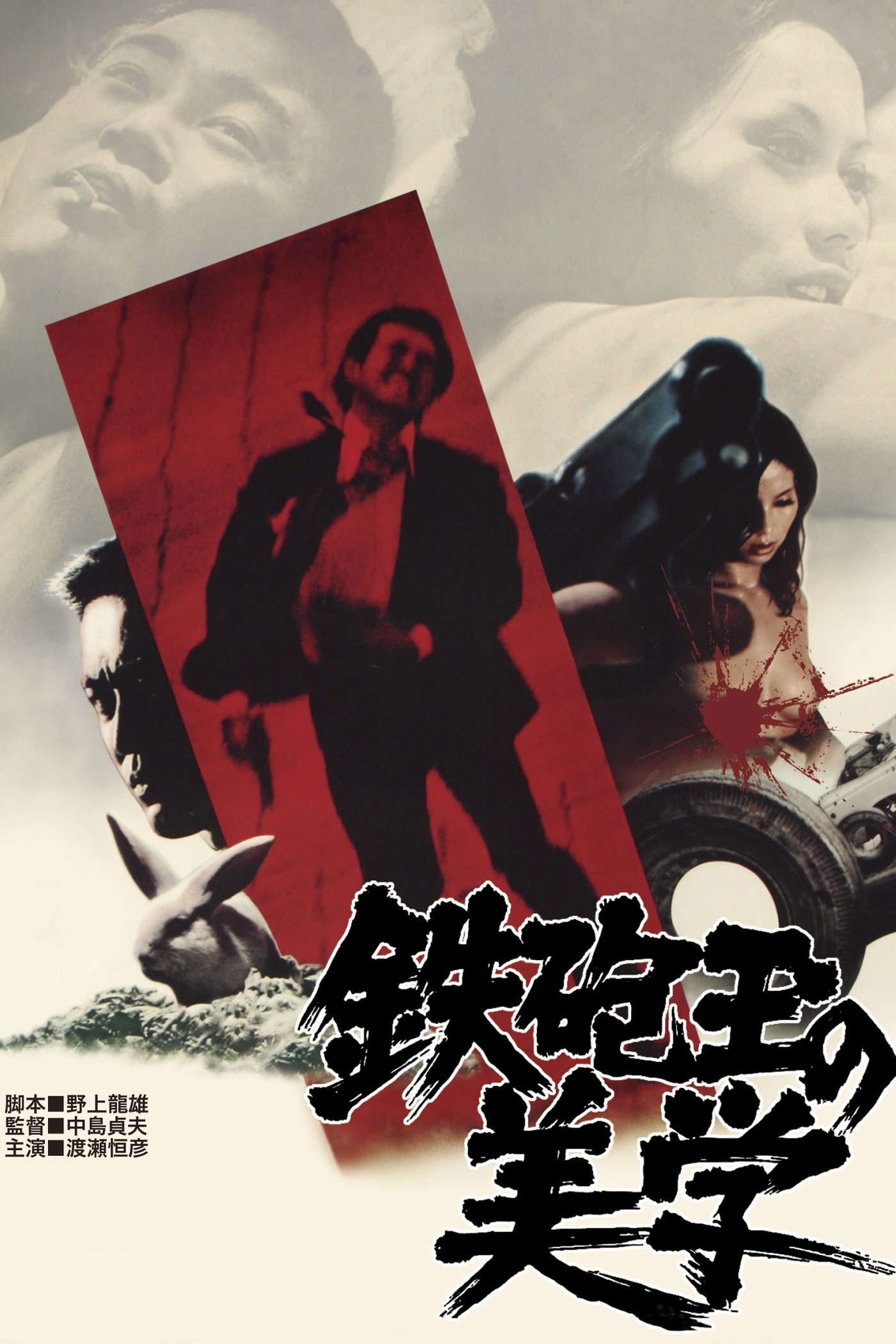 Aesthetics of a Bullet photo