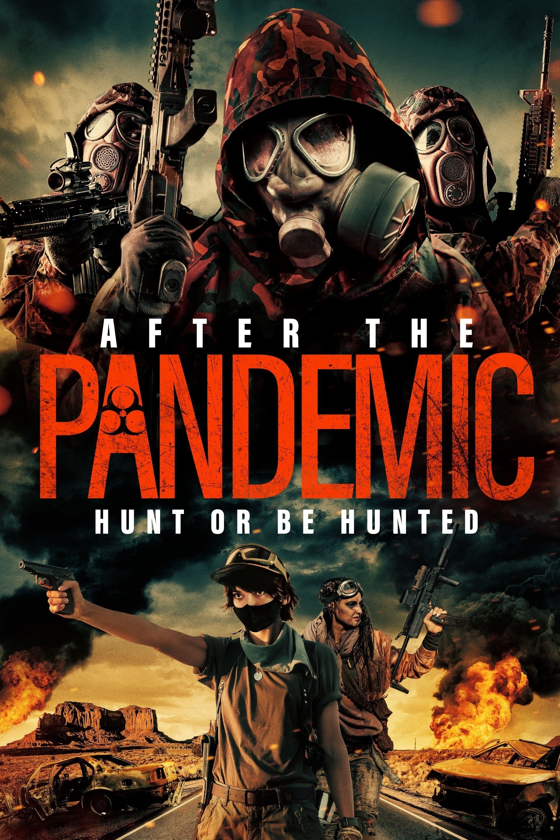 After the Pandemic photo