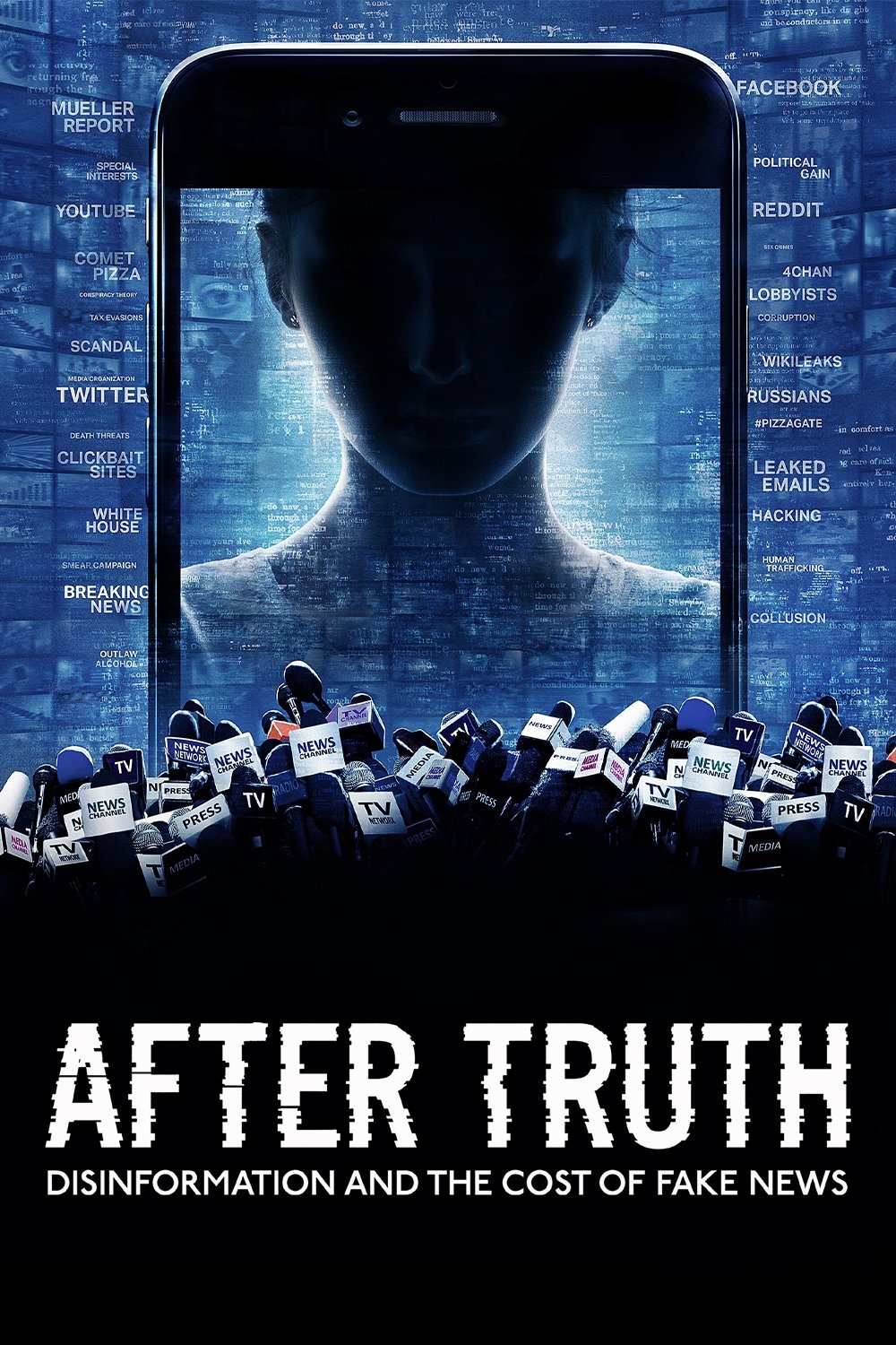 After Truth: Disinformation and the Cost of Fake News photo