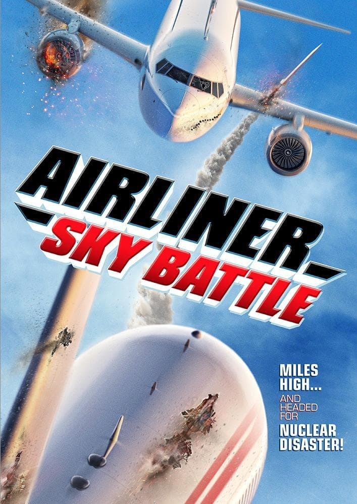Airliner Sky Battle photo