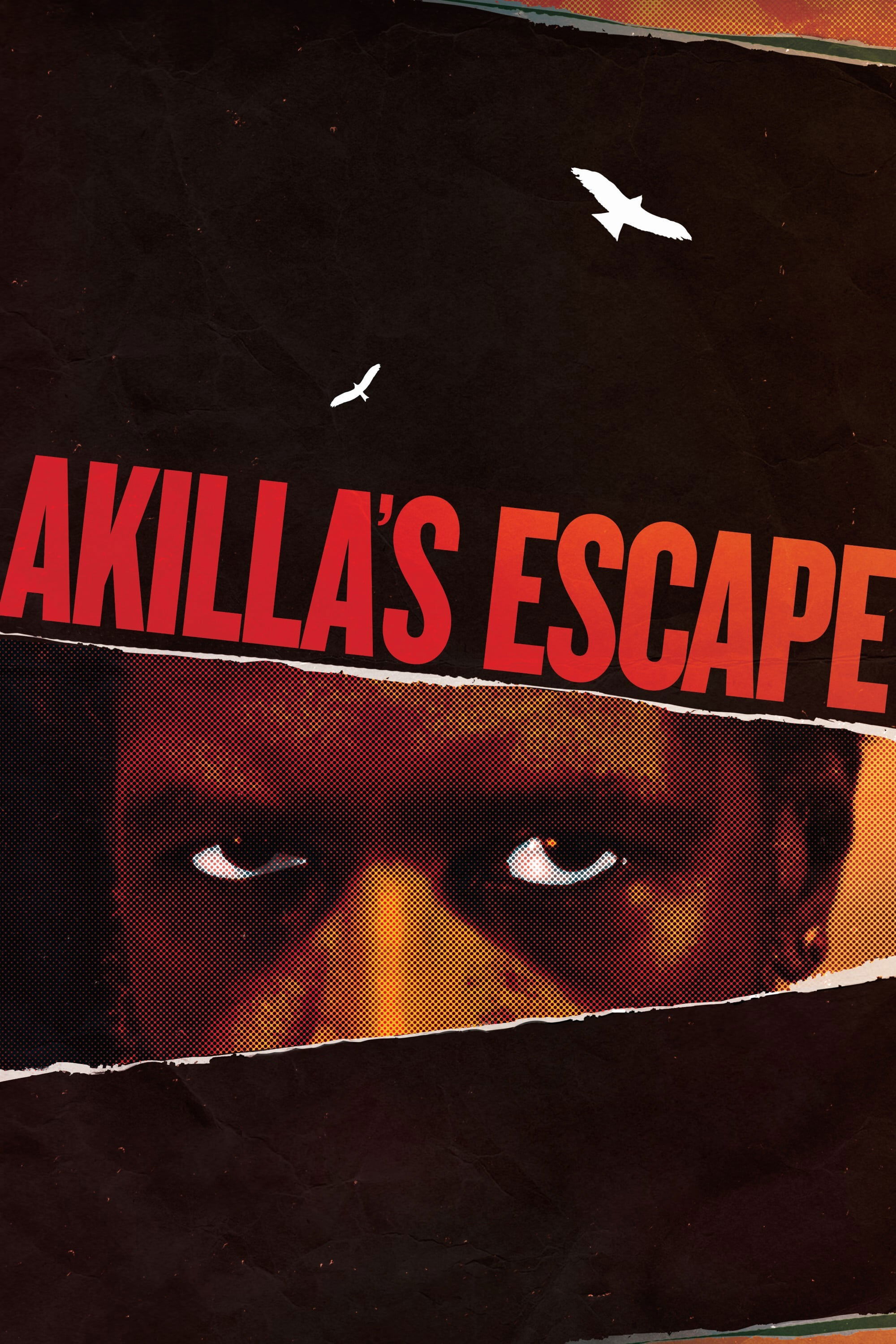 Akilla's Escape photo