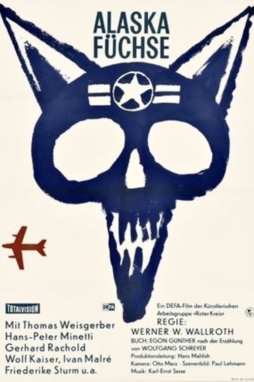 Alaska - Foxes photo