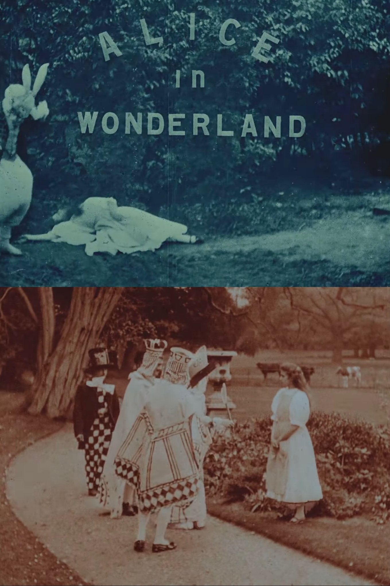 Alice in Wonderland photo