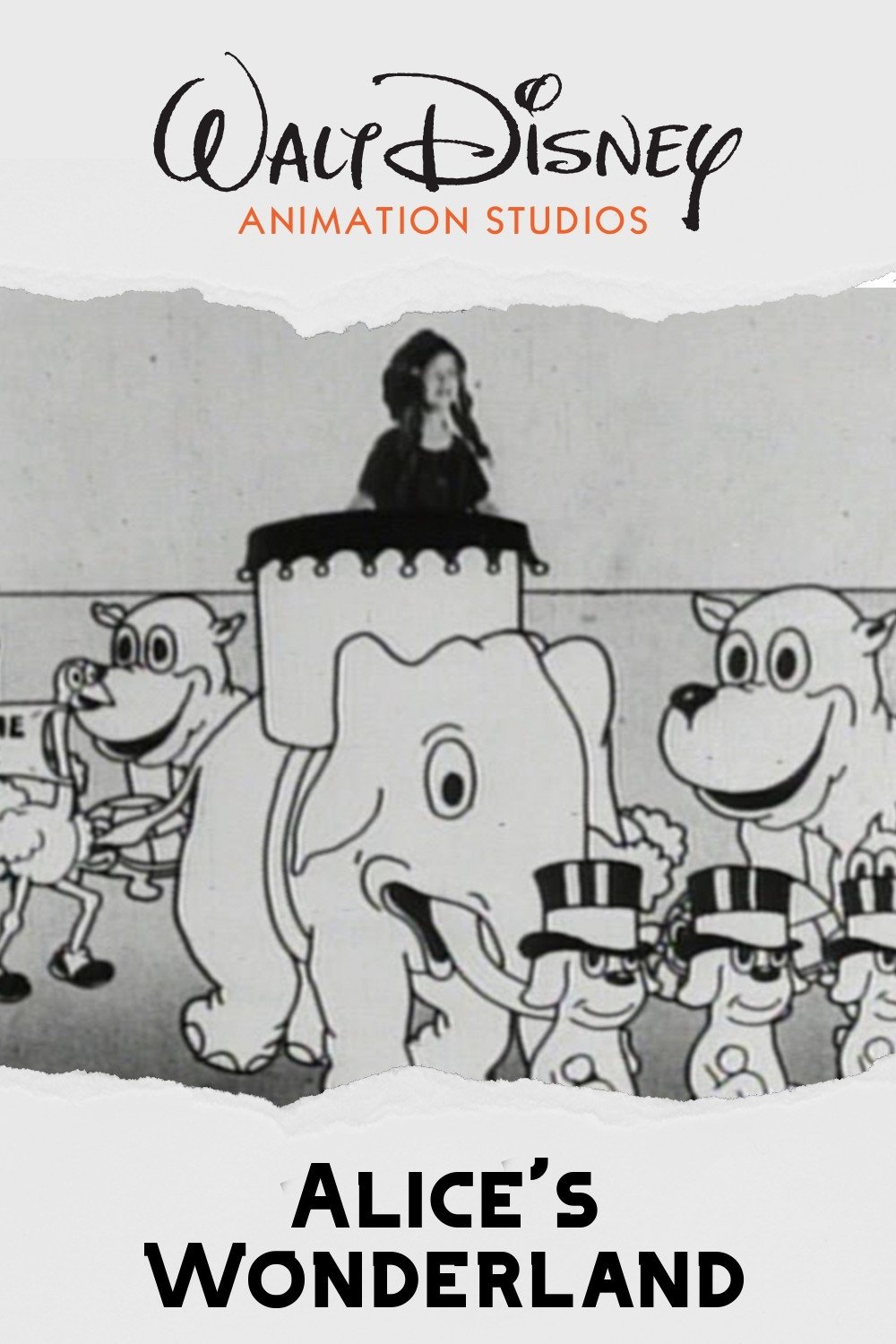 Alice's Wonderland photo