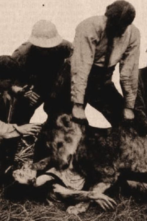 Alone in the Jungle photo