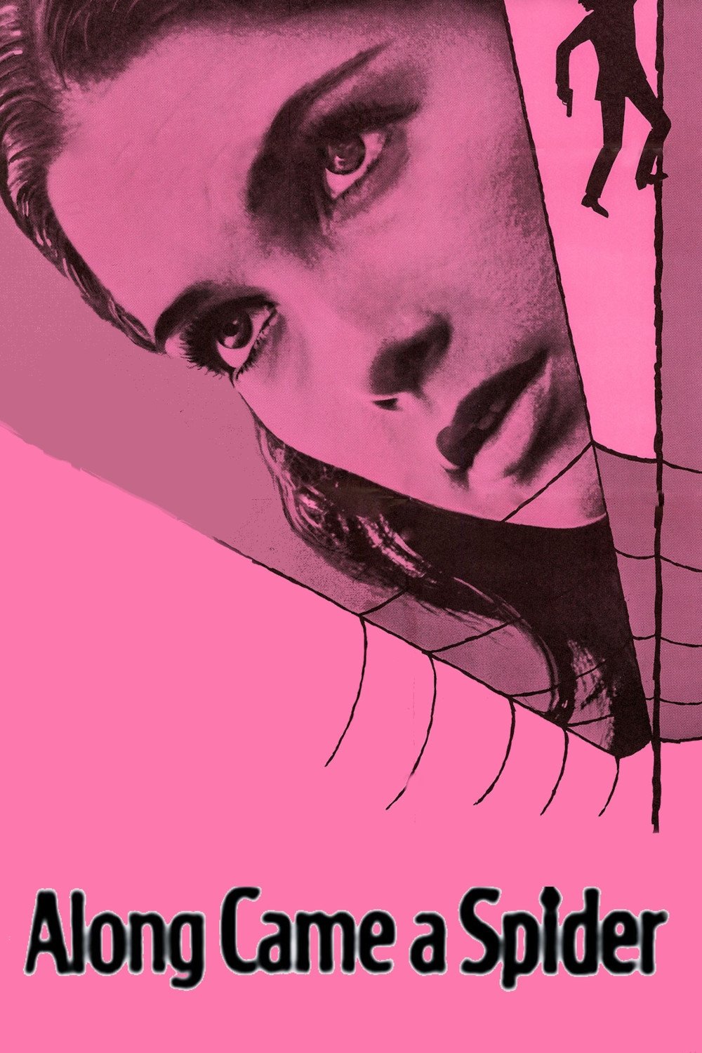 Along Came a Spider photo