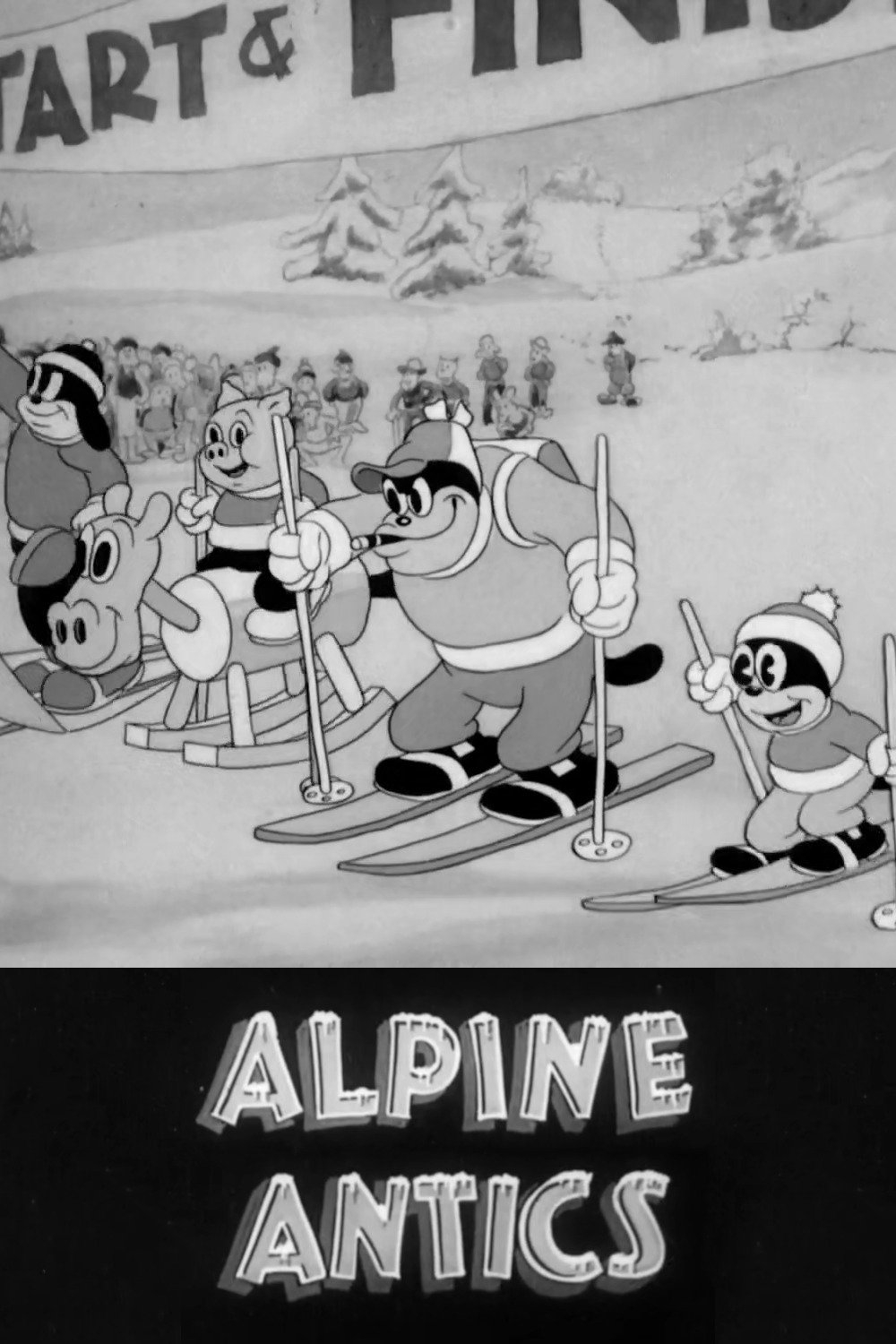 Alpine Antics photo