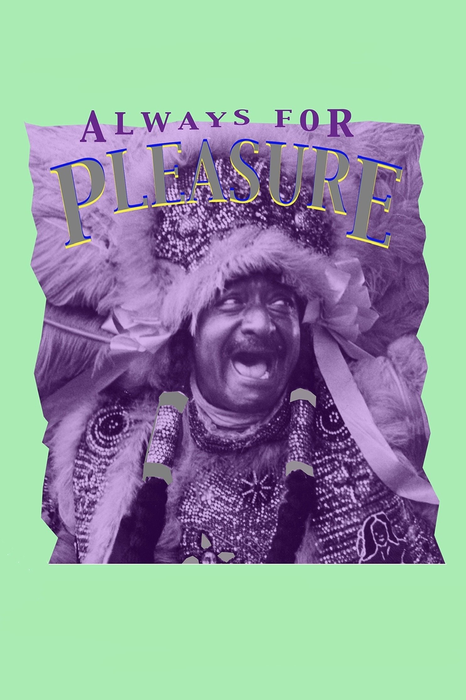 Always for Pleasure photo