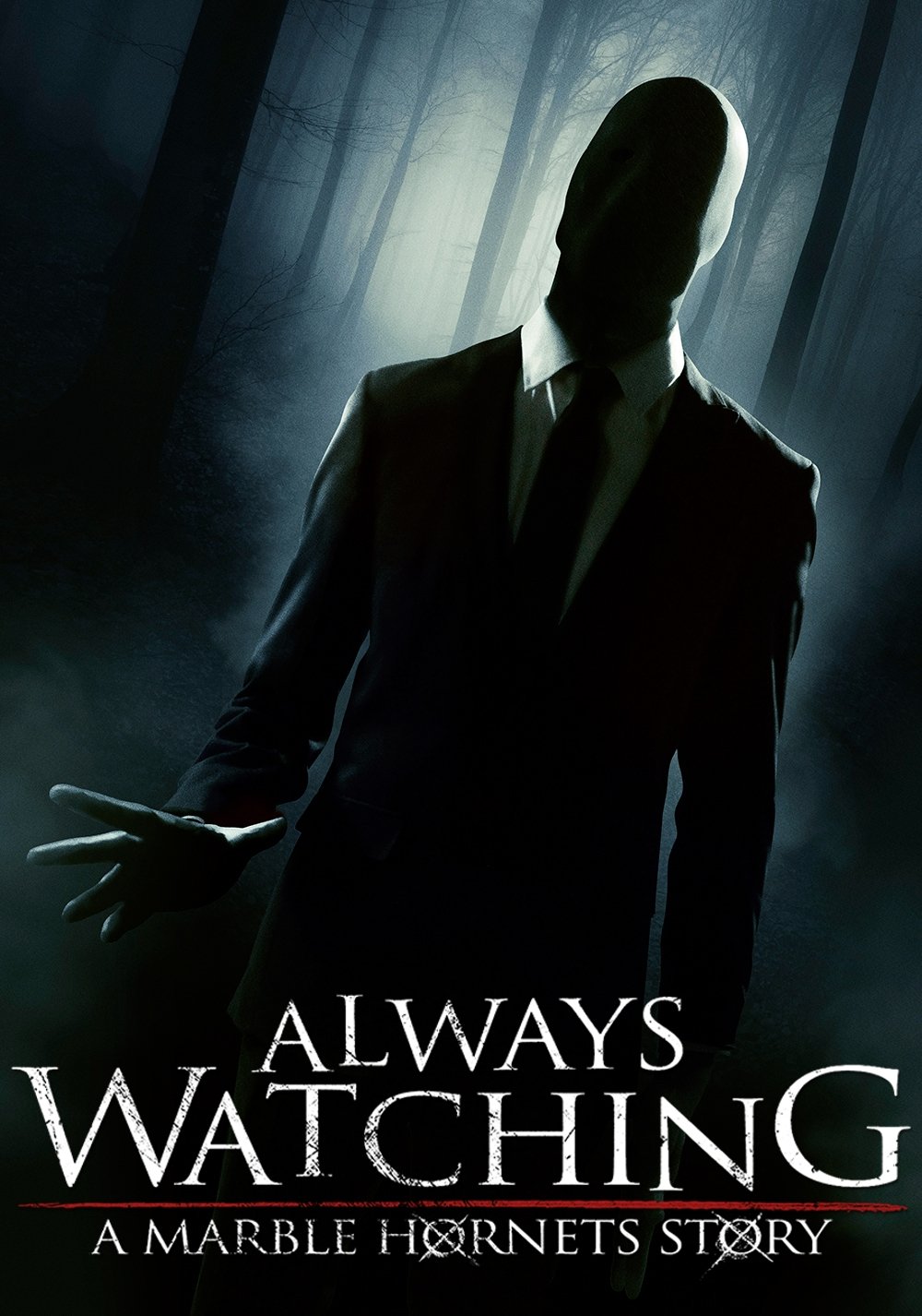 Always Watching: A Marble Hornets Story photo
