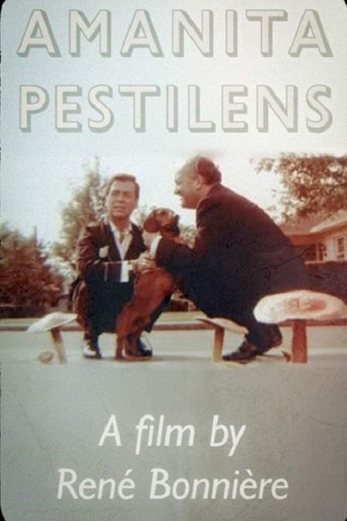 Amanita Pestilens photo