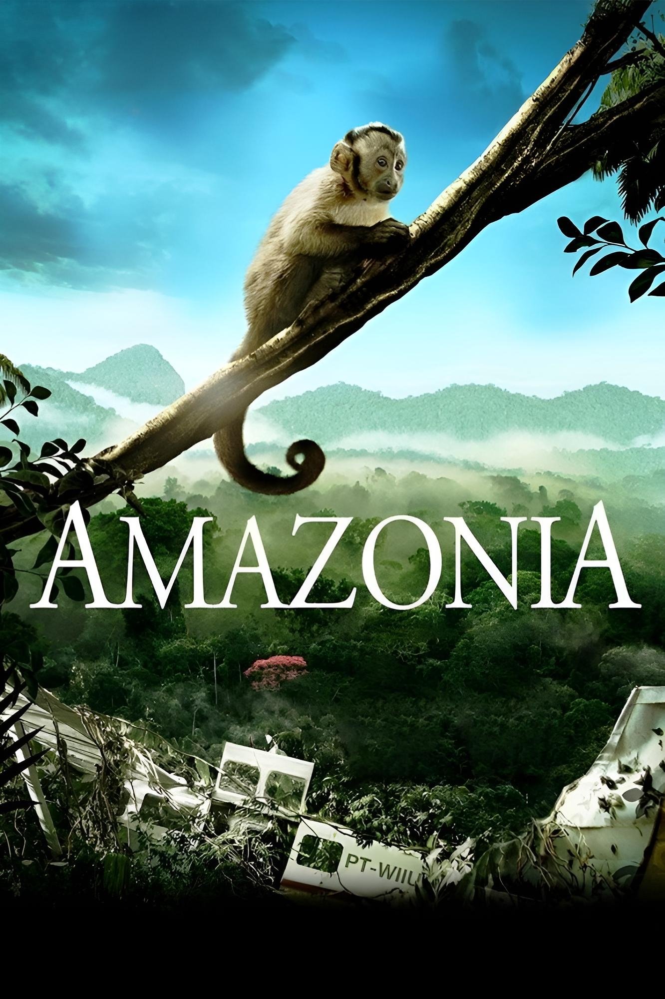 Amazonia photo