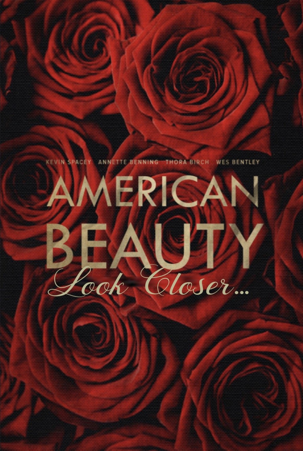 American Beauty: Look Closer... photo