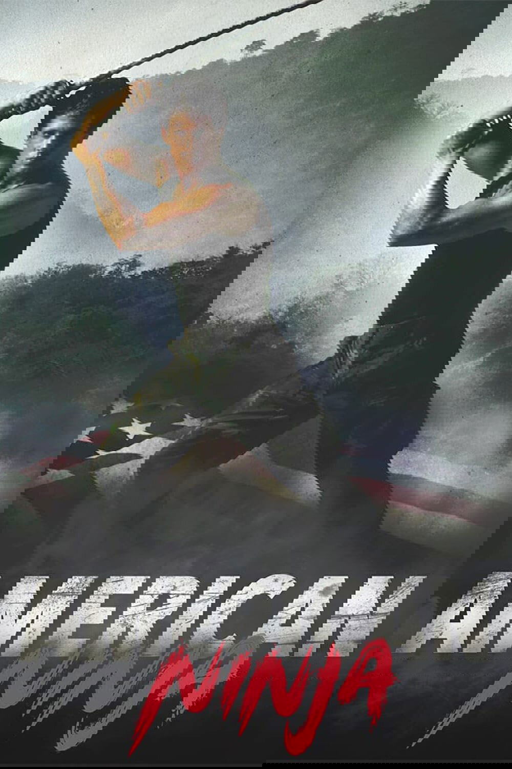 American Ninja photo