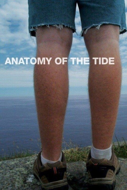 Anatomy of the Tide photo