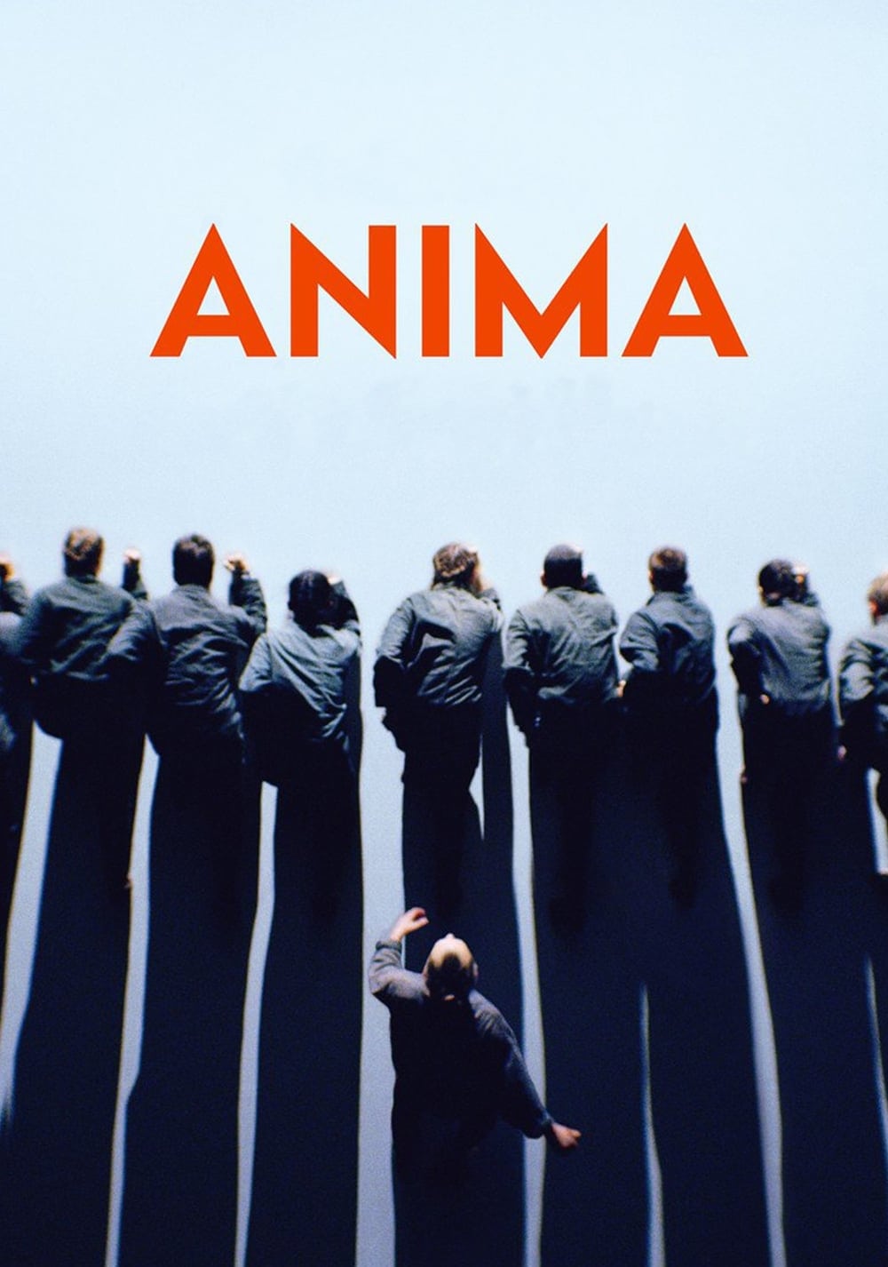 Anima photo