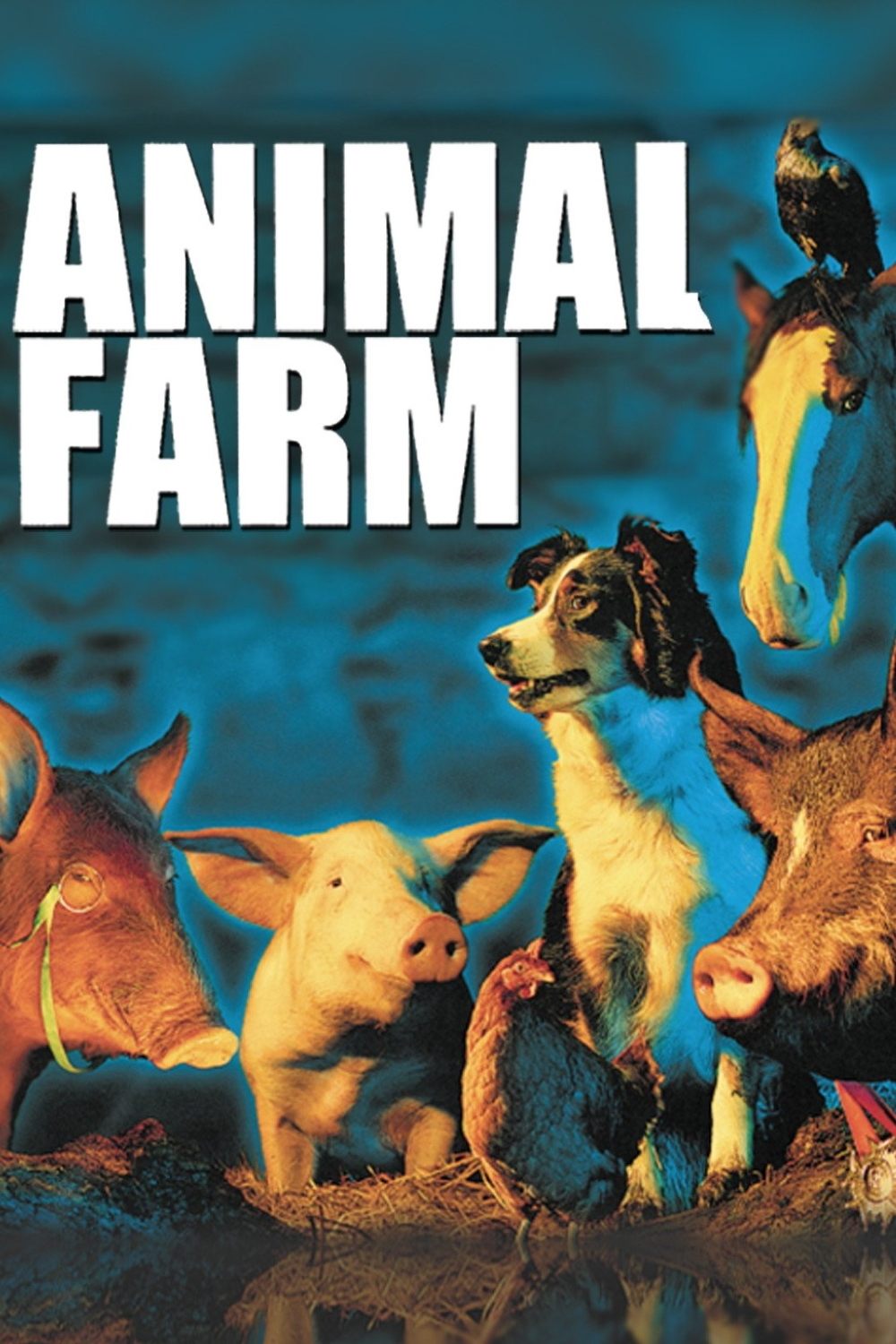 Animal Farm photo