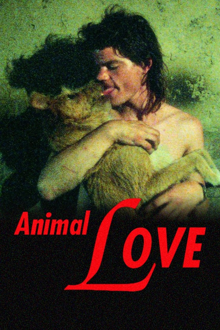 Animal Love photo