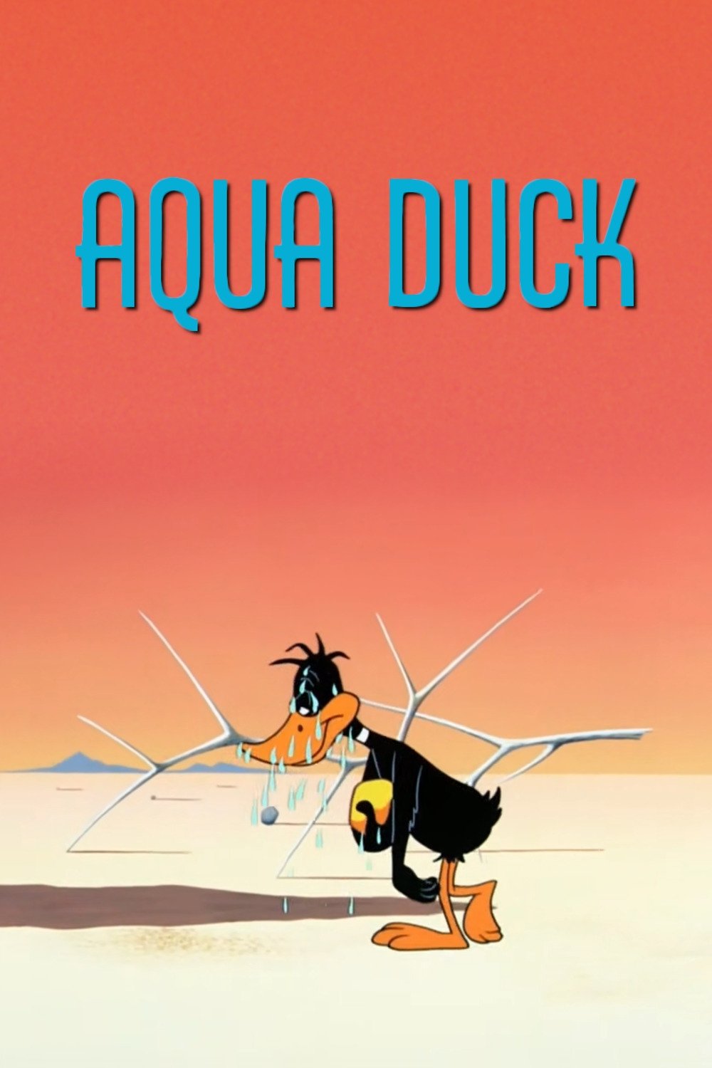 Aqua Duck photo