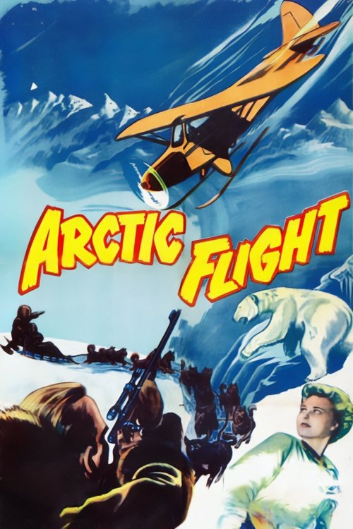 Arctic Flight photo
