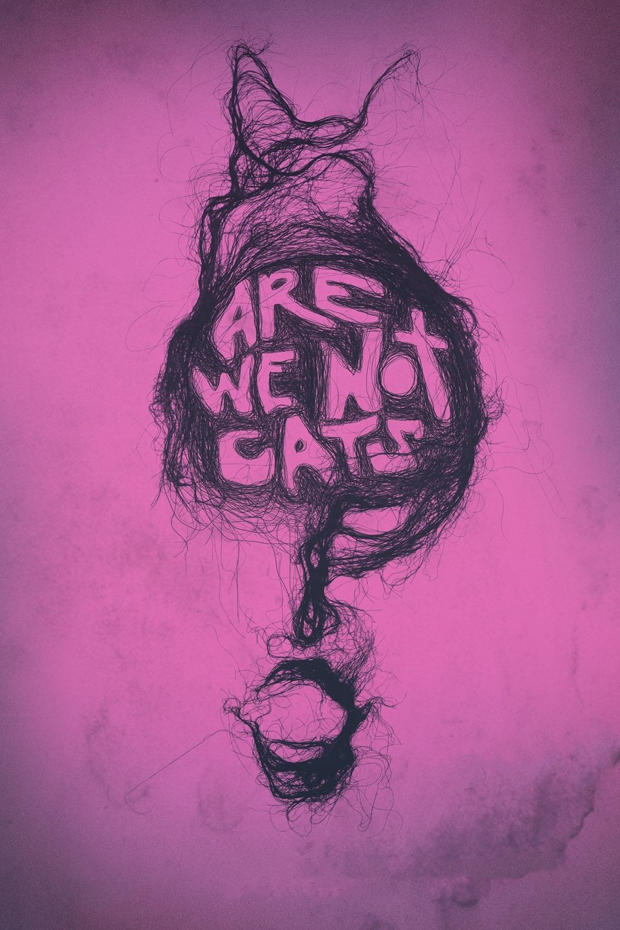 Are We Not Cats photo