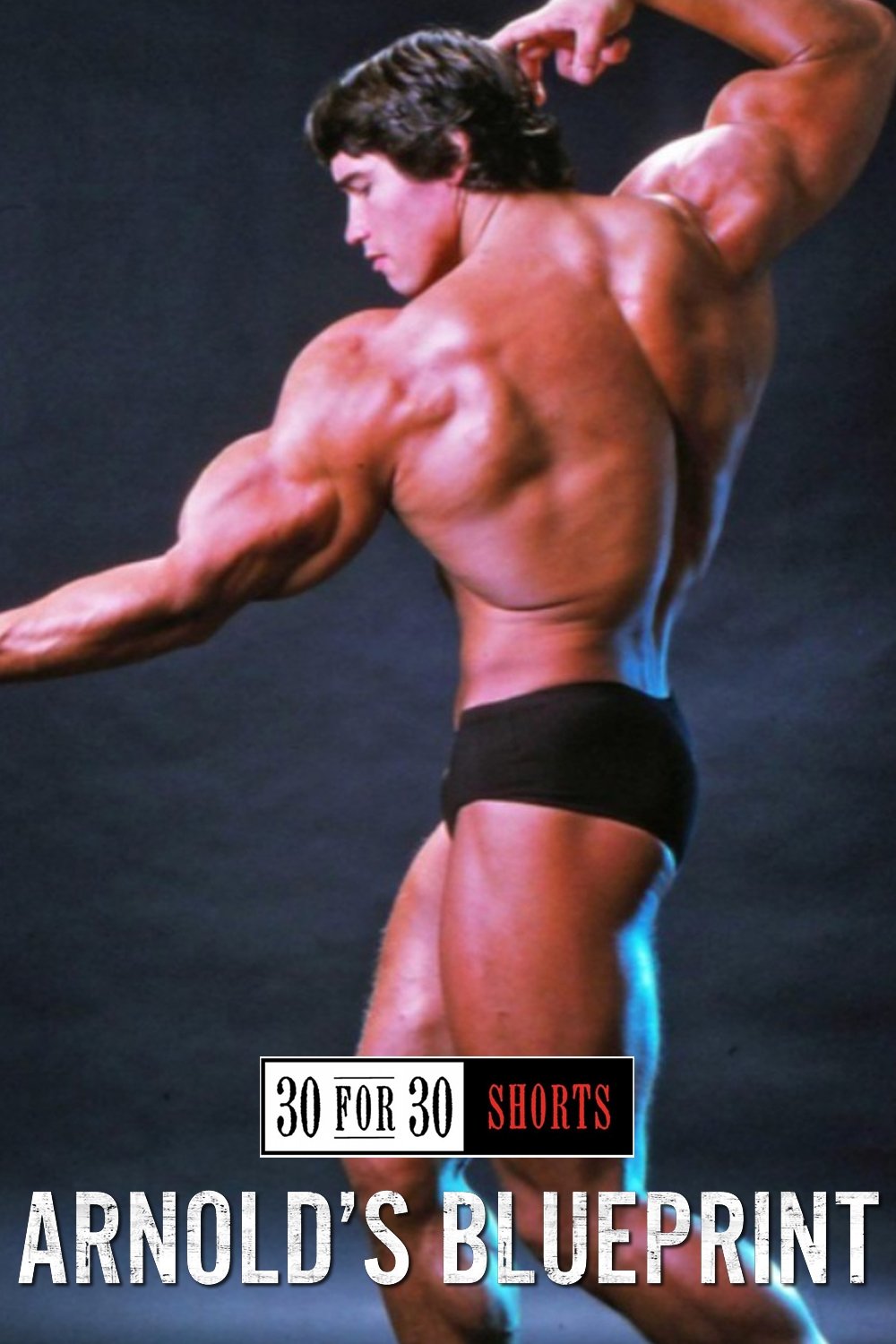 Arnold's Blueprint photo