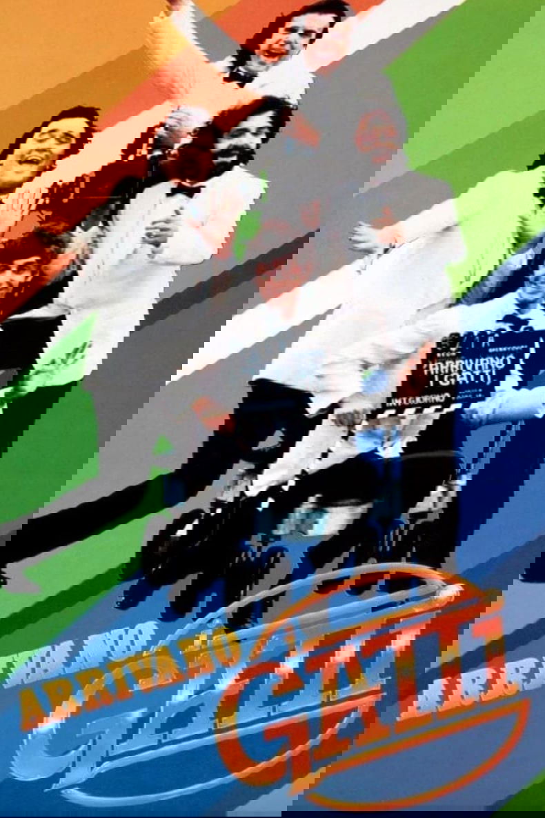 Arrivano i gatti photo