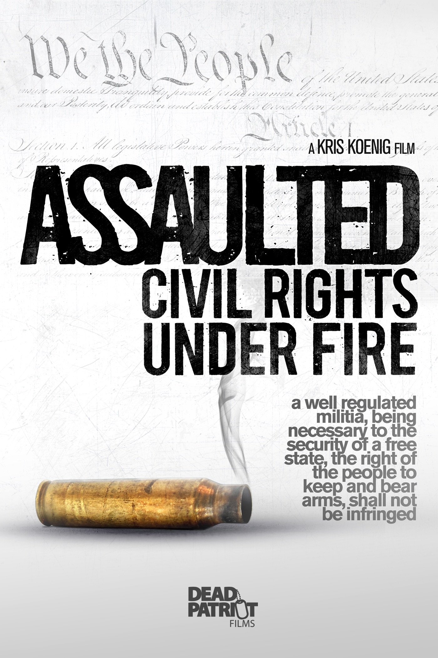 Assaulted: Civil Rights Under Fire photo