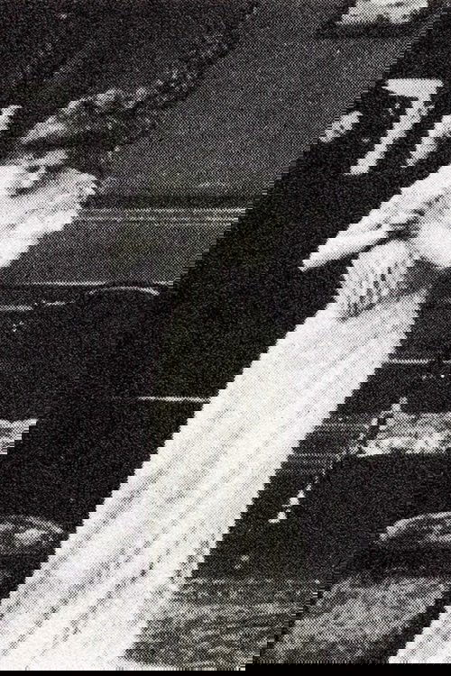 At the Crossroads of Life photo