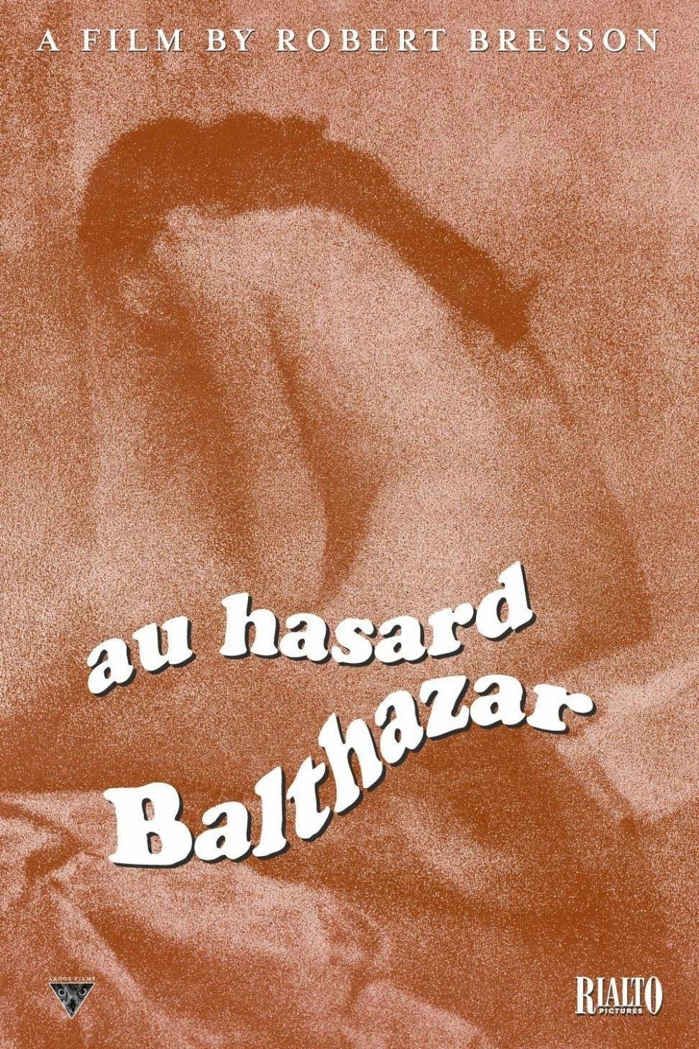 Au Hasard Balthazar photo