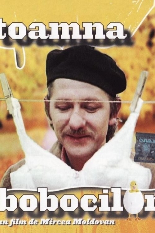 Autumn of the Goslings photo