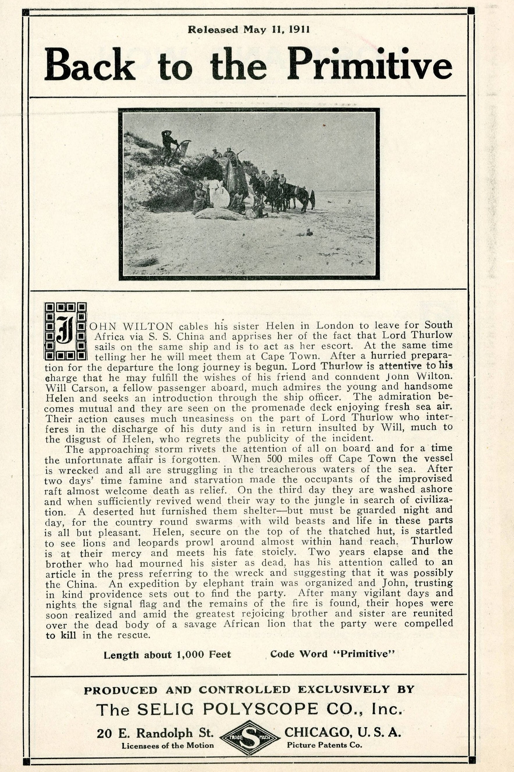 Back to the Primitive photo