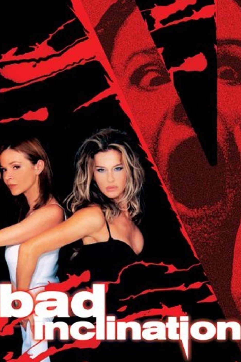Bad Inclination photo