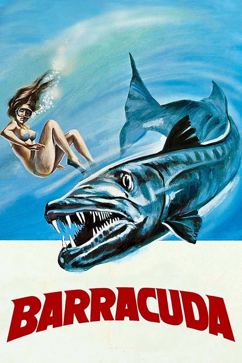 Barracuda photo