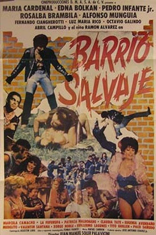 Barrio Salvaje photo