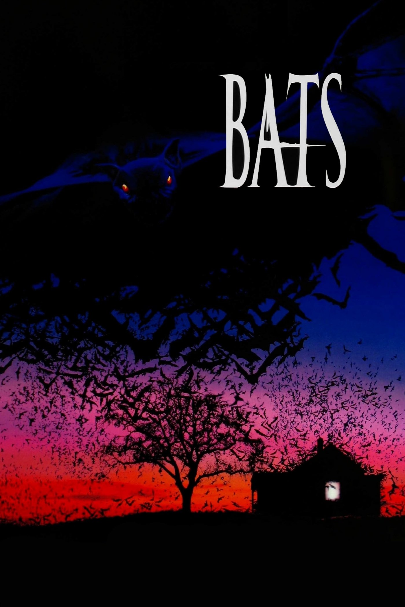 Bats photo