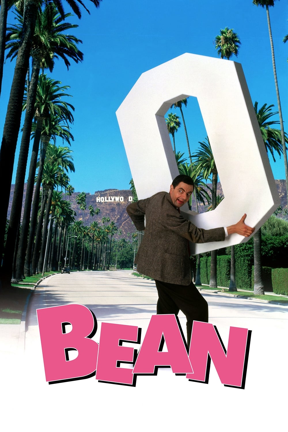Bean photo