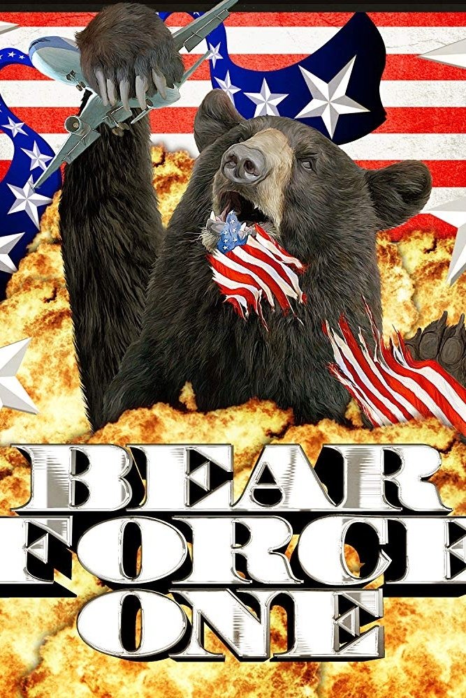 Bear Force One photo