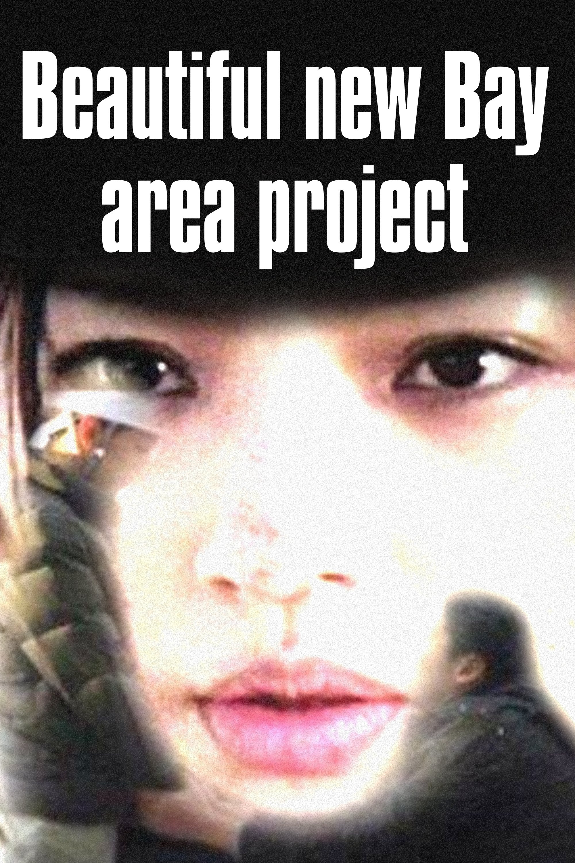 Beautiful New Bay Area Project photo