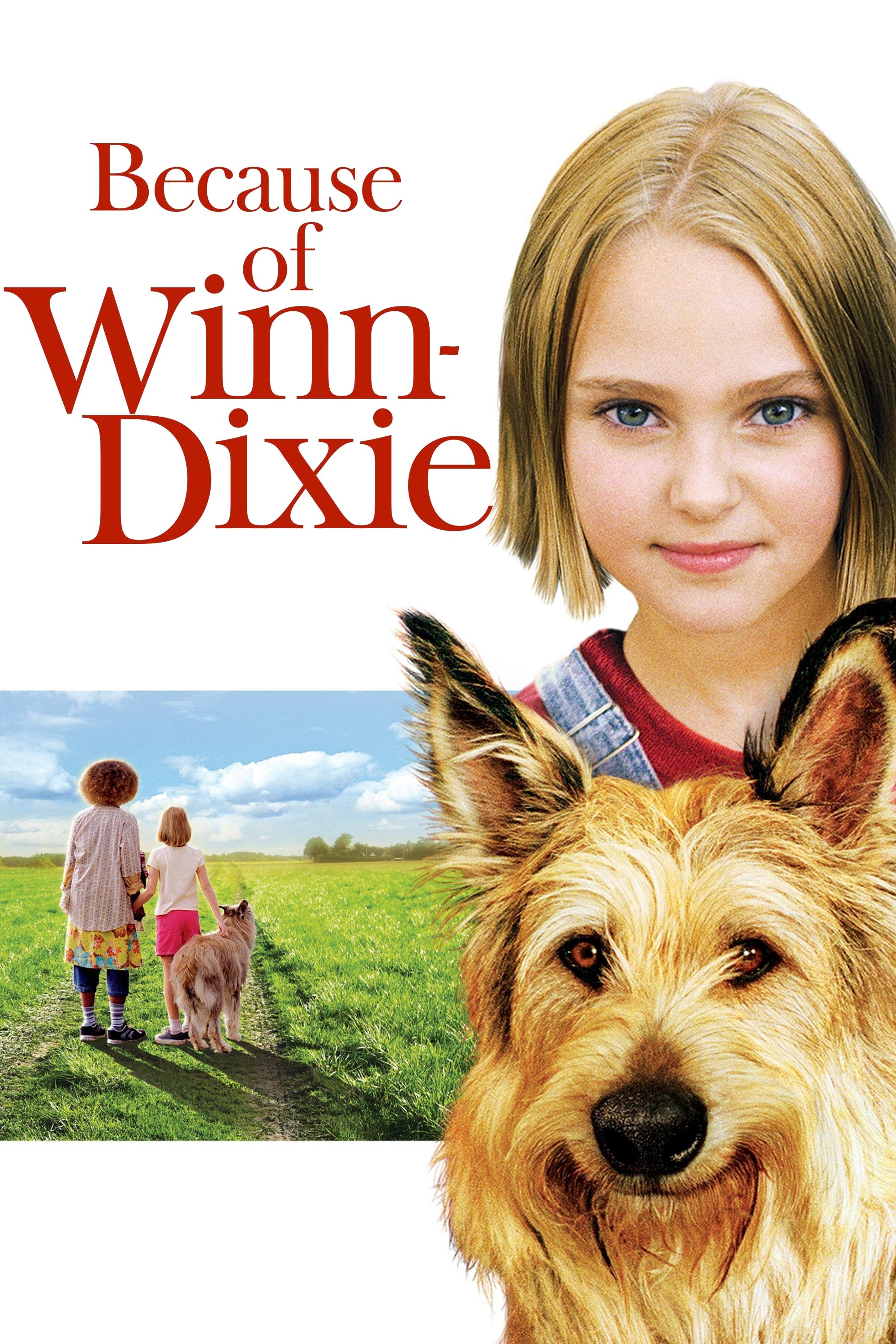 Because of Winn-Dixie photo
