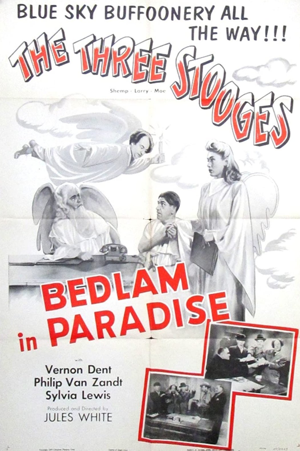 Bedlam in Paradise photo