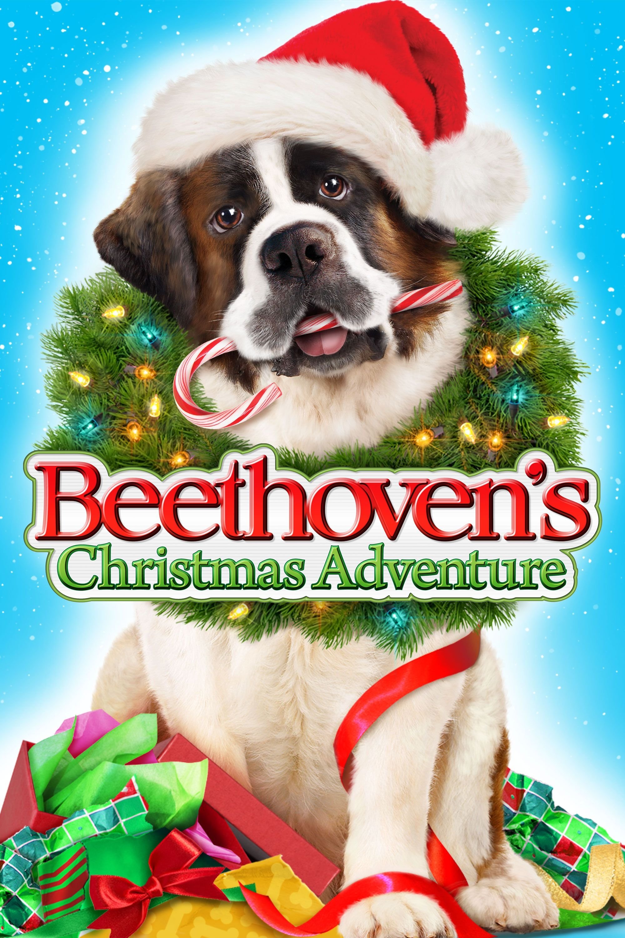 Beethoven's Christmas Adventure photo