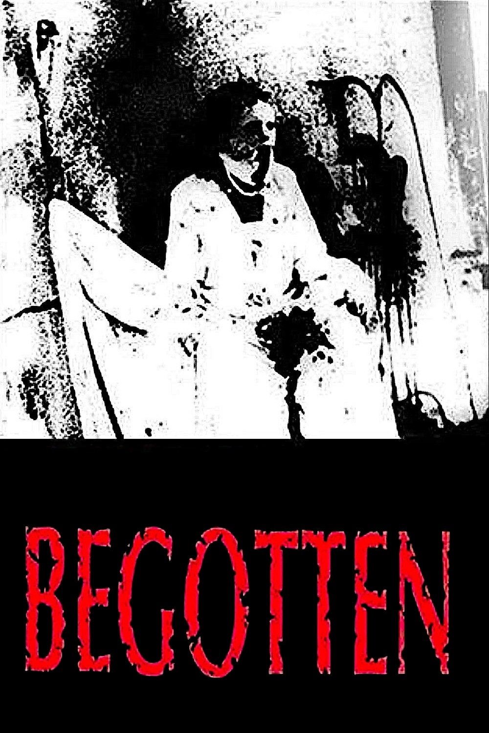 Begotten photo