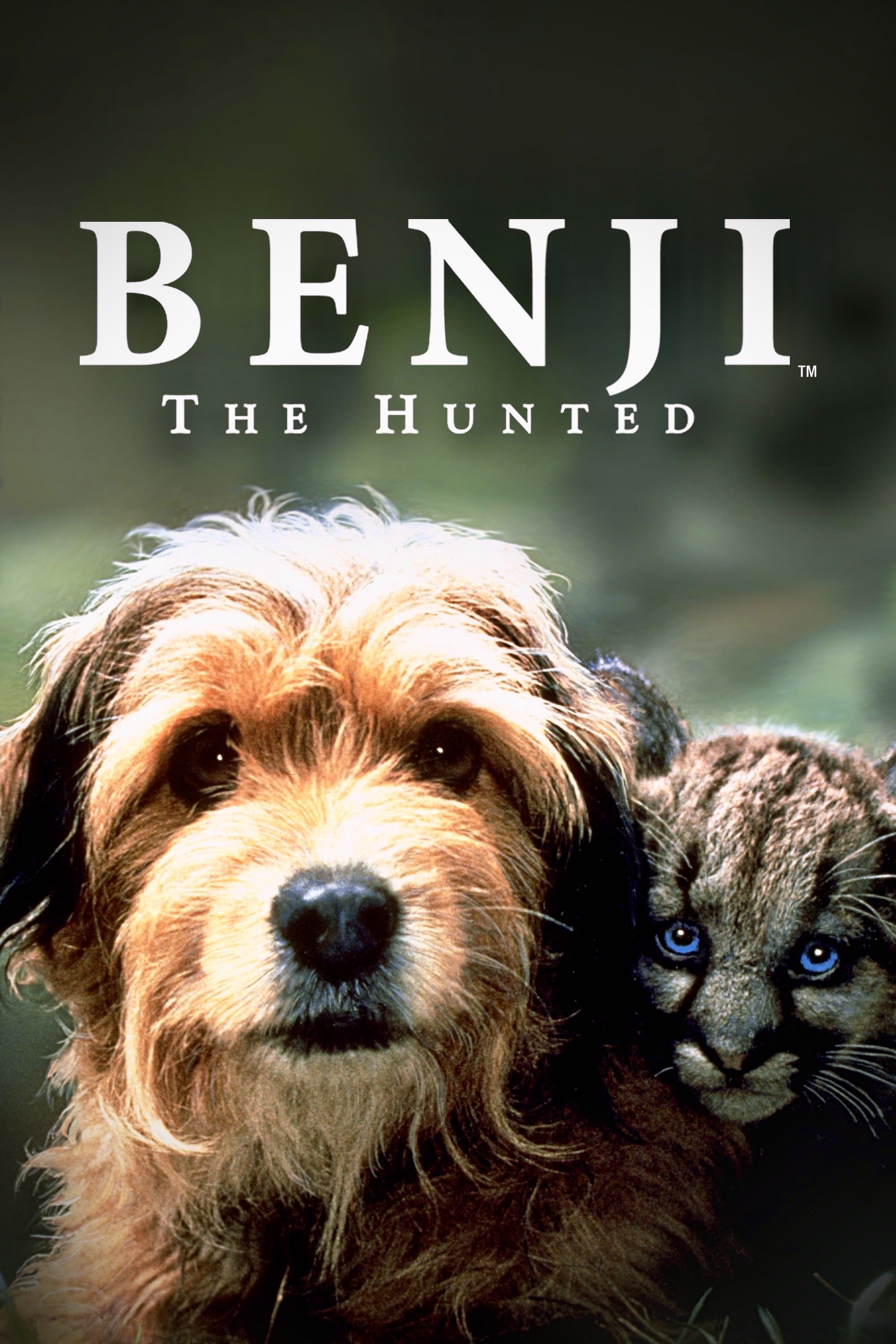 Benji the Hunted photo