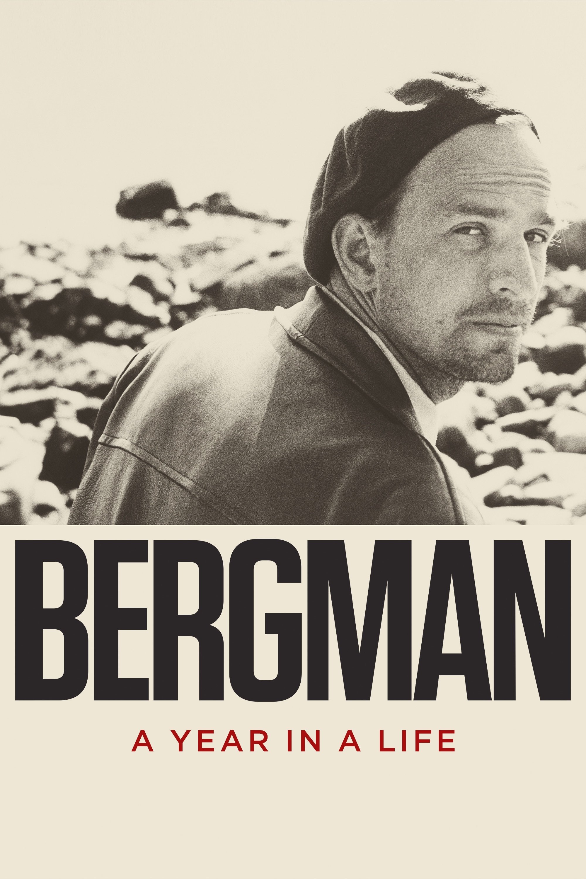 Bergman: A Year in a Life photo