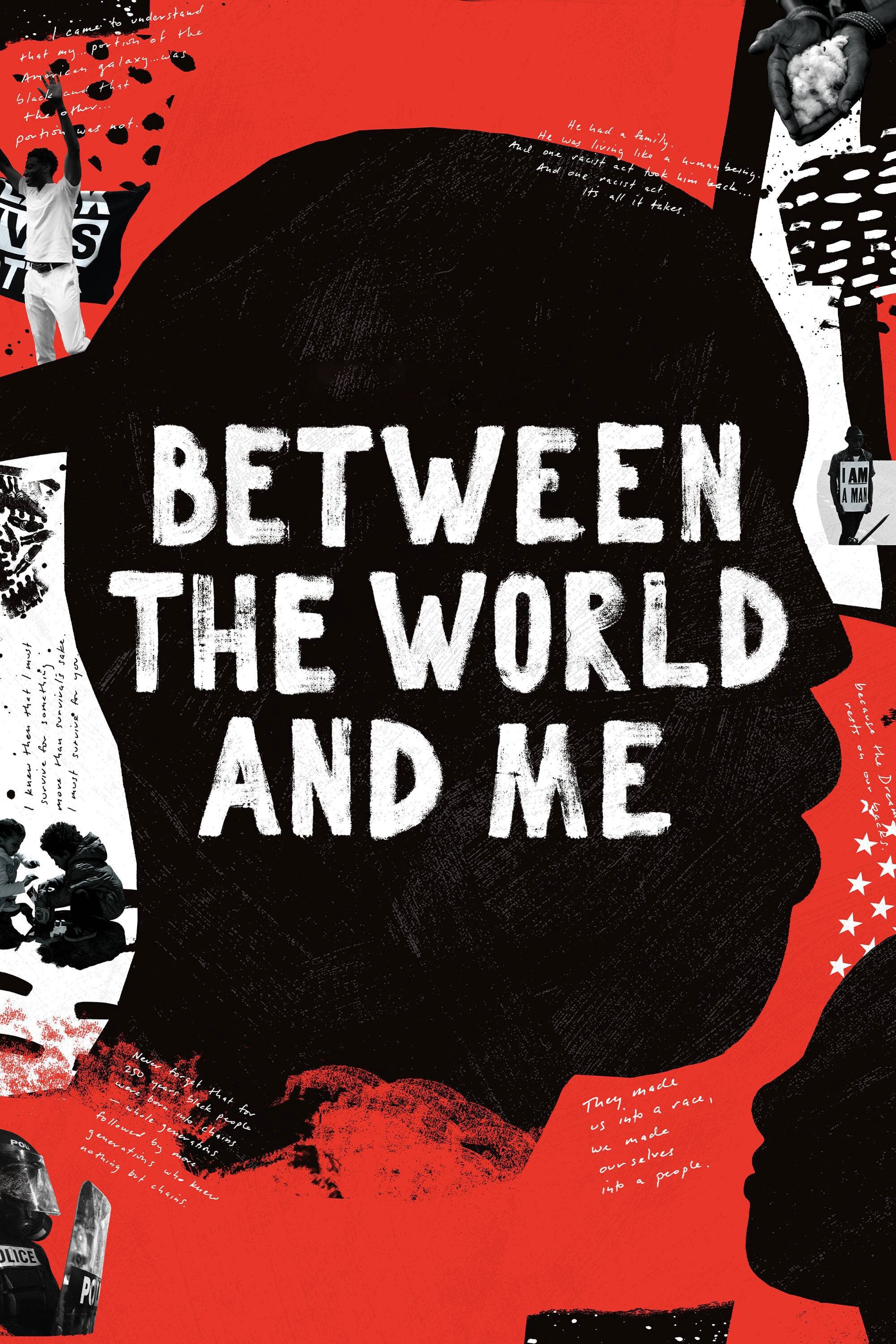 Between the World and Me photo